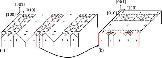 FIG. 5. 3D view of the cellular domain structure showing the magnetization of the domains with a transverse cross section (a) and a longitudinal cross section (b), taken through the red dashed line in (a).