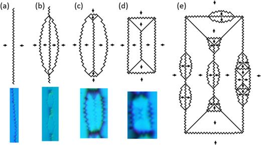 FIG. 8. Variations in cell domain morphology on annealed and quenched Fe–15 at. % Ga, including plain zigzag V-lines (a), lens-shaped cells with no internal 90° walls (b), rounded cells with narrow ends (c), rectangular cells (d), and complex nested cells (e).