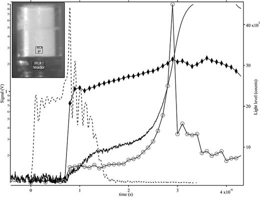 Experimental observations of exploding bridgewire detonator function ...