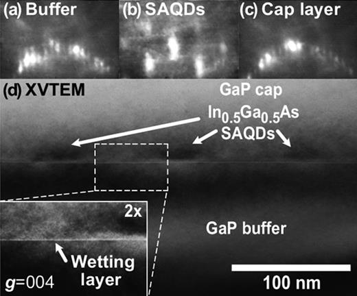 Strain-driven quantum dot self-assembly by molecular beam epitaxy ...