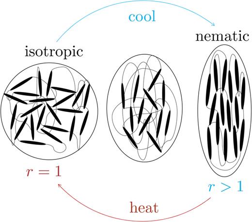 FIG. 1. Isotropic–nematic phase transition in nematic elastomers with the isotropic phase with r=1 at high temperatures and the nematic phase with r&gt;1 at low temperatures.