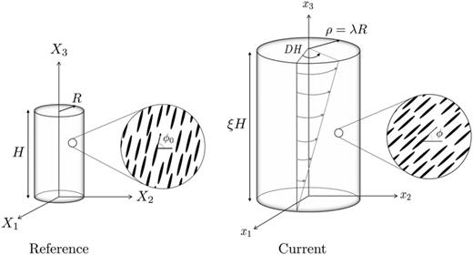 FIG. 2. Inflation, extension, and torsion of a cylinder.