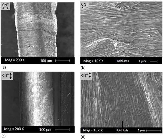 Strongly anisotropic field emission from highly aligned carbon nanotube ...