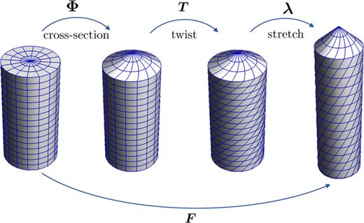 FIG. 2. Schematics of the decomposition of F=T⋅λ⋅Φ.