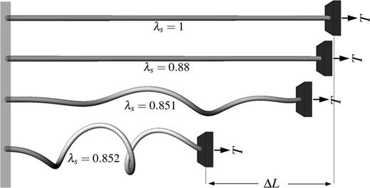 FIG. 9. Finite element simulation of a fiber with Young’s modulus E=1, Poisson’s ratio ν=0.45, 4800 elements, an aspect ratio of R0/L=0.07, and a R independent director field with α=π/4 and β=π/2. The fiber is fixed at one end and subject to a tension T=0.2πμR02 while preventing rotation at the other end. As the value of λs is decreased, the fiber wants to shrink and twist but cannot do the latter as the ends are not allowed to rotate. The fiber thus coils to release some of the twist energy, resulting in a greater stroke amplitude than that of classical linear actuation.