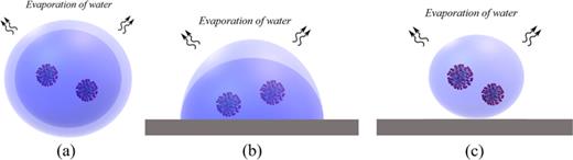 FIG. 2. Schematics of evaporation of virus-containing (a) airborne water droplets and droplets on (b) a hydrophilic and (c) a superhydrophobic substrate.