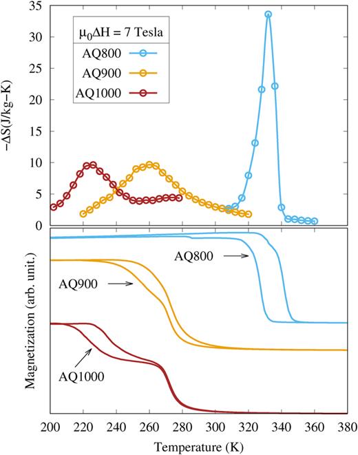 FIG. 9. The magnetic entropy changes (upper figure) for a 7-T field change estimated from magnetization isotherm measurements and the temperature-dependent magnetization (lower figure) using field-cooled cooling and field-cooled warming protocols at 0.1 T of samples AQ800, AQ900, and AQ1000 are shown.