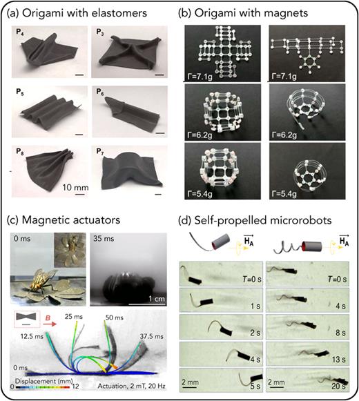 Shape-morphing magnetic materials in gaseous and liquid environment. (a) Magnetic nanoparticles incorporated into elastomer matrix whose short-range order and magnetic anisotropy can be tuned at elevated temperatures in a magnetic field. Depicted shapes emerge from planar sheet in the presence of a magnetic field. Reproduced with permission from Song et al., Nano Lett. 20, 5185 (2020). Copyright 2020 American Chemical Society. (b) Programmed self-assembly of frames equipped with multipole permanent magnets. From Niu et al., Proc. Natl. Acad. Sci. U.S.A. 116, 24402 (2019). Copyright 2019 Author(s), licensed under a Creative Commons Attribution (CC BY) license. (c) Millisecond actuation based on perpendicular magnetized films exposed to linear AC magnetic field. From Wang et al., Commun. Mater. 1, 67 (2020). Copyright 2020 Author(s),licensed under a Creative Commons Attribution (CC BY) license.298 (d) Bio-inspired flagellated micromachines with magnetization stemming from embedded aligned ferromagnetic nanoparticles driven by a rotating magnetic field in liquid environment. From Huang et al., Nat. Commun. 7, 12263 (2016). Copyright 2016 Author(s), licensed under a Creative Commons Attribution (CC BY) license.293