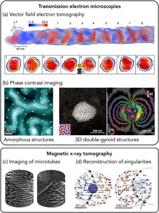 Advanced electron and x-ray characterization of 3D curved geometries. (a) Magnetization in Co/Cu multilayered nanorods obtained from holographic vector field electron tomography. From Wolf et al., Commun. Phys. 2, 87 (2019). Copyright 2019 Author(s), licensed under a Creative Commons Attribution (CC BY) license. (b) Electron phase contrast imaging of (left) chiral ferrimagnetism in amorphous structures and (right) spin frustration in 3D printed nanostructures visualized with Lorentz microscopy and electron holography, respectively. Reproduced with permission from Streubel et al., Adv. Mater. 30, 1800199 (2018). Copyright 2018 John Wiley and Sons and Llandro et al., Nano Lett. 20, 3642 (2020). Copyright 2020 American Chemical Society. (c) 3D imaging of radial magnetization in tubular Co/Pd microstructures using soft x rays. From Streubel et al., Nat. Commun. 6, 7612 (2015). Copyright 2015 Author(s), licensed under a Creative Commons Attribution (CC BY) license. (d) The 3D reconstruction of magnetic singularities in striped domain patterns in     Ni 80   Fe 20 /   NdCo 5 /   Ni 80   Fe 20 films. From Hierro-Rodriguez et al., Nat. Commun. 11, 6382 (2020). Copyright 2020 Author(s), licensed under a Creative Commons Attribution (CC BY) license.