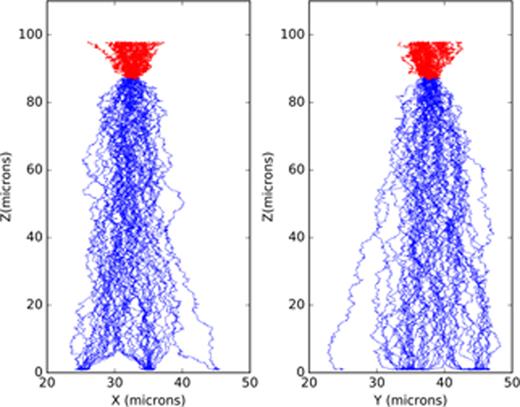 FIG. 14. This shows a simulation of a typical Fe55 event in an ITL device. Electrons are shown in blue (moving downward) and holes in red (moving upward). The left panel is a slice in the serial direction, and the right panel is a slice in the parallel direction. Only a small fraction of the 1620 incident hole–electron pairs are plotted here.