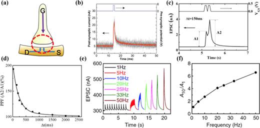 FIG. 5. Dynamic short-term synaptic plasticity emulated in electrolyte-gated transistors. (a) Schematic diagram of an artificial synapse based on an electrolyte-gated transistor. Reproduced with permission from Yang et al., ACS Appl. Mater. Interfaces 8, 30281–30286 (2016). Copyright 2016 American Chemical Society. (b) EPSC triggered by an electrical gate pulse. Reproduced with permission from Kim et al., Adv. Mater. 25, 1693–1698 (2013). Copyright 2013 John Wiley and Sons. (c) and (d) EPSC triggered by two successive electrical gate pulses; PPF ratio plotted as a function of the time interval between the two gate pulses. Reproduced with permission from Zhou et al., IEEE Electron Device Lett. 36, 198–200 (2015). Copyright 2015 IEEE. (e) and (f) EPSC triggered by gate pulse sequences with different frequencies; filtering gain as a function of the frequency of the gate pulse sequence. Reproduced with permission from Zhu et al., Nat. Commun. 5, 3158 (2014). Copyright 2014 Springer Nature.