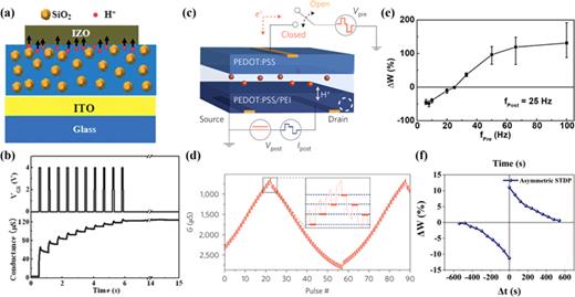 FIG. 6. Long-term synaptic plasticity and synaptic learning rules in electrolyte-gated synaptic transistors. (a) and (b) Schematic diagram of the electrochemical doping at the interface IZO/SiO2 electrolyte; IZO channel conductance triggered by ten successive gate pulses. Reproduced with permission from Wan et al., Nanoscale 5, 10194–10199 (2013). Copyright 2013 Royal Society of Chemistry. (c) and (d) Schematic structure of PEDOT:PSS-based electrochemical device; long-term potentiation and depression as a function of pulse number. Reproduced with permission from van de Burgt et al., Nat. Mater. 16, 414–418 (2017). Copyright 2017 Springer Nature. (e) Synaptic weight change as a function of the frequency of pre-synaptic spikes. Reproduced with permission from Yang et al., ACS Appl. Mater. Interfaces 8, 30281–30286 (2016). Copyright 2016 American Chemical Society. (f) Synaptic weight change plotted as a function of the relative timing between pre- and post-synaptic spikes. Reproduced with permission from Ge et al., Adv. Mater. 31, 1900379 (2019). Copyright 2019 John Wiley and Sons.