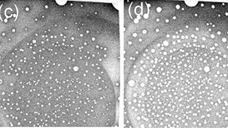 In situ water radiolysis in a scanning electron microscope and ...