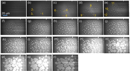 In situ water radiolysis in a scanning electron microscope and ...