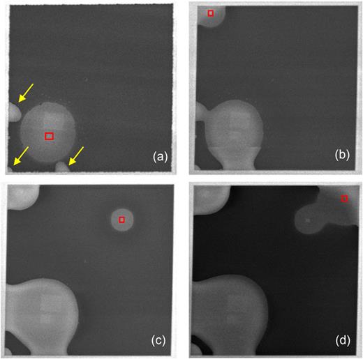 In situ water radiolysis in a scanning electron microscope and ...