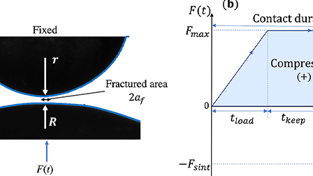 Ice sintering: Dependence of sintering force on temperature, load ...