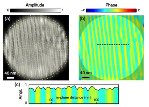 (a) The amplitude of the Bragg projection ptychography (BPP) reconstructed     PbTiO 3 thin film projection is shown in gray scale along with the raster positions of the beam (yellow dots). (b) The corresponding phase of the reconstruction. (c) A line through the reconstruction [along the dotted line in (b)] plotting reconstructed object amplitude colored by the corresponding pixel phase. Reproduced with permission from Hruszkewycz et al., Phys. Rev. Lett. 110, 177601 (2013). Copyright 2013 American Physical Society.