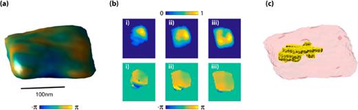 (a) The ferromagnetic nickel nanoparticle shape and the atomic displacement projected onto the surface. (b) The cross sections of the amplitude and the phase near the top surface. The signature of the dislocations is seen in the phase. (c) The three-dimensional dislocations in the semi-transparent nanoparticle. Reproduced with the permission from Kim et al., J. Appl. Phys. 123, 204302 (2018). Copyright 2018 AIP Publishing LLC.