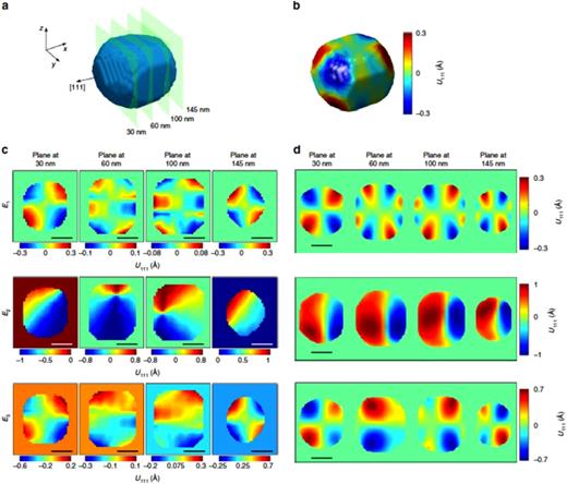 Correlations between Bragg coherent diffraction measurements and phase-field simulations on a     BaTiO 3 nanoparticle. (a) A blue isosurface shows the reconstructed particle shape (amplitude) with green planes marking the locations of 2D cuts through the volume for the extracted planes in (d). (b) Under zero electric field (initial state), the 3D projection of displacement field along the [111] direction is mapped onto the surface of the particle. (c) Slices through the particle volume at cut planes of 30, 60, 100, and 145 nm showing the inhomogeneity of the displacement and dynamics under an external electric field. (d) Phase-field simulations for similar cut planes of 30, 60, 100, and 145 nm support the interpretation of experimental results.     E 1 = 0   kV    cm  − 1,     E 2 = 223   kV    cm  − 1, and at remnant     E 3 = 0   kV    cm  − 1. Scale bars correspond to 60 nm. Reprinted with permission from Karpov et al., Nat. Commun. 8, 280 (2017). Copyright 2017 Macmillan Publishers Ltd., licensed under a Creative Commons Attribution (CC BY) license.