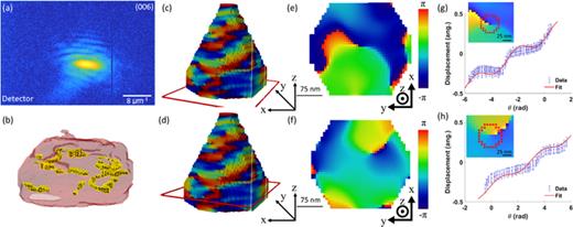 (a) shows the diffraction peak used for coherent imaging reconstruction of a     V 2   O 3 nanocrystal. (b) shows the outline of the dislocation cores in the base of the particle, based on the phase of the reconstructed crystal. The displacement is directly proportional to the phase of the reconstructed complex crystal. The yellow solid lines represent the cores for the mixed and partial dislocations. (c) and (d) show the location in the particle of the cross sections shown in (e) and (f), respectively; the color of the images represents the phase of the crystal. The z-coordinate in (c) and (d) points toward the [006] direction, and the z-coordinate in (e) and (f) points toward the [001] direction. These phase maps show signatures of dislocations, with dislocation lines approximately along [001]. By converting phase to displacement, we can determine the Burgers vector of the dislocation. (g) and (h) show radial plots of the displacement of the crystal around the dislocation cores, with an inset showing the pixels for one of the radii used for the fitting process. Reproduced with permission from Barringer et al., CrystEngComm 23(36), 6239–6244 (2021). Copyright 2021 Royal Society of Chemistry.