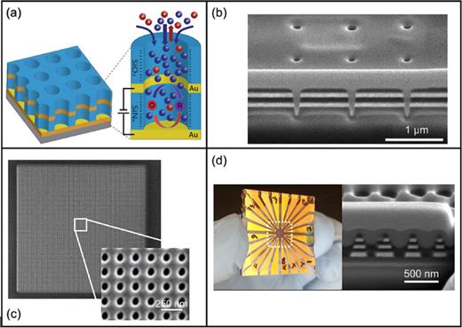 Multifunctional nanopore electrode array method for characterizing and ...