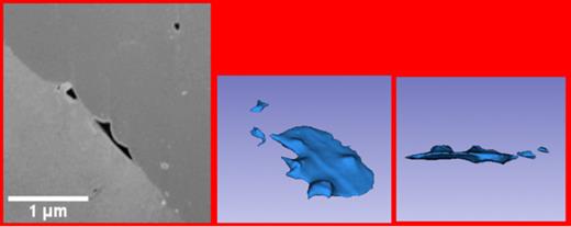Restructuring in high burn-up pressurized water reactor UO2 fuel ...