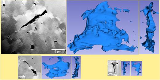 Restructuring in high burn-up pressurized water reactor UO2 fuel ...