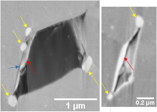 Restructuring in high burn-up pressurized water reactor UO2 fuel ...