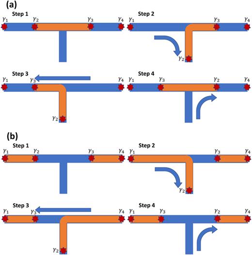 FIG. 1. An outline of steps realizing adiabatic exchange of MBS across topological (a) or trivial (b) regions in 1D or quasi 1D geometries. Arrows indicate directions of adiabatic motion of MBS bound to domain walls between topological and trivial regions.