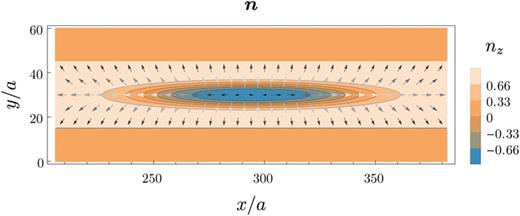FIG. 11. The magnetization profile, n, used to represent elongated skyrmions, with horizontal (vertical) core radius Rcx/a=5 (Rcy/a=49) and a=10 nm. Such elongated skyrmions with helicity γ=0 can be realized in chiral ferromagnets with a combination of Rashba- and Dresselhaus-type DMI. The contours and arrows, respectively, show the out-of-plane and the in-plane components.