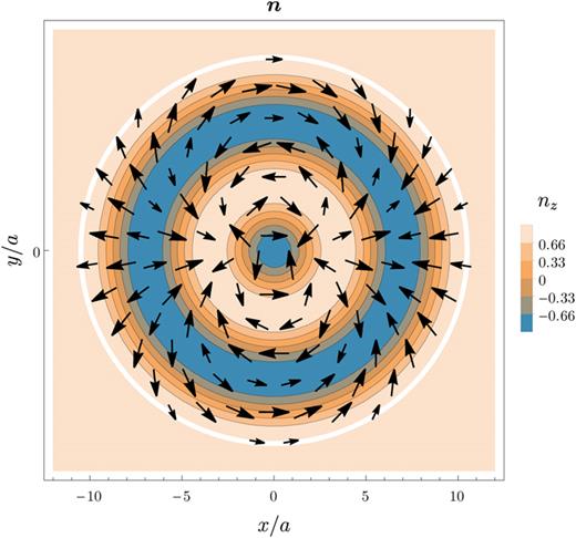 FIG. 18. Magnetization profile, n, for a skyrmion with even vorticity (V=2) and multiple radial magnetization flips (P=3), given by Eq. (23) with R0=0 and R/a=3.5.