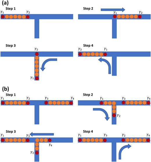 FIG. 21. An outline of steps realizing adiabatic exchange of MBS across topological (a) or trivial (b) regions using a chain of skyrmions. Arrows indicate directions of adiabatic motion of skyrmion chains with MBS bound to the ends of the chain.