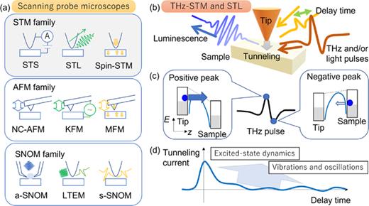Various types of scanning probe microscopes (SPMs) and the overview of THz-STM and STL spectroscopy. (a) Types of scanning probe microscopes (SPMs). There are three families of the SPM, scanning tunneling microscopy (STM),7 atomic force microscopy (AFM), and scanning near-field microscopy (SNOM), some of which are already combined with terahertz technology to reveal nanoscale ultrafast dynamics. For the STM family, there exists scanning tunneling spectroscopy (STS)13,15 to reveal electronic states, scanning tunneling luminescence (STL) spectroscopy7,25,58 to investigate excited states, and spin-polarized STM (Spin-STM)4,5,10,23 to visualize the magnetic texture at the nanoscale. For the AFM family,2,15,16,18,20 there are noncontact (NC) AFM22 to visualize surface morphology, Kelvin force microscopy (KFM)11,14,19 to investigate electronic properties, and magnetic force microscopy (MFM)8,10,26 to investigate magnetic properties. For the SNOM family, there are aperture-type SNOM12,23 to resolve optical properties, laser-induced terahertz emission microscopy (LTEM)11,14,19,26 to investigate terahertz generation, and scattering-type SNOM6,8,16,18,22,21 to visualize nano-optical responses. (b) Schematic of THz-STM and STL. (c) Electron tunneling induced by the terahertz electric field. The higher field strength (positive peak in this case) induces much more tunneling electrons to be observed by the current measurement. (d) Schematic of a typical waveform obtained by the optical pump and the THz-STM probe experiment.