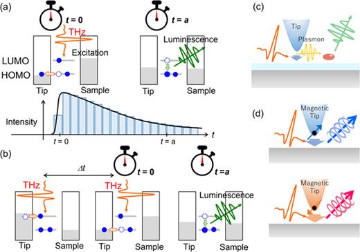 Possible experiments conducted by THz-STL. (a) Electron tunneling induced by the THz pulse forms the excited state at   t = 0 and emits luminescence at   t = a, enabling us to investigate luminescence dynamics. (LUMO: lowest unoccupied molecular orbital, HOMO: highest occupied molecular orbital). The gray color represents the position of the chemical potential of electrons. (b) Formation of the excited states through the sequential tunneling of electrons induced by the THz double pulse with a pulse interval of   Δ t. (c) THz-induced plasmon emission exciting the luminescence of neighboring molecules. (d) Spin-selective excitation of luminescence in a semiconductor through electron tunneling using a magnetic tip. Luminescence with a circular polarization may be emitted.