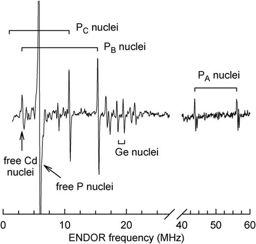 ENDOR spectrum of the singly ionized cadmium vacancy (    V   Cd −) in CdGeP2. The temperature was 17 K, and the microwave frequency was 9.484 GHz. The magnetic field was along the [110] direction and fixed at 342.4 mT. Labels identify the responsible nuclei.