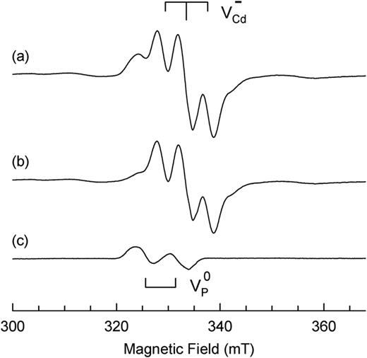 EPR spectra from CdGeP2, taken at 18 K with the magnetic field along the [110] direction. (a) Spectrum taken with 700 nm light on the crystal. (b) Spectrum taken immediately after removing the 700 nm light. (c) Difference spectrum, generated by subtracting the “after light” spectrum from the “with light” spectrum. The difference spectrum contains two EPR lines from the neutral phosphorous vacancy (    V  P 0).