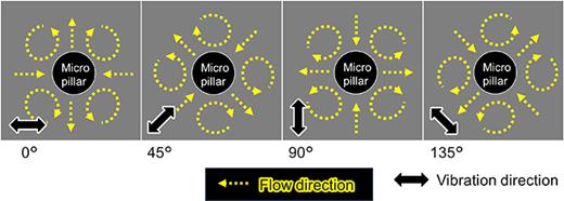 Schematic illustration of flow fields around a cylindrical micropillar subjected to rectilinear vibration in four different directions.