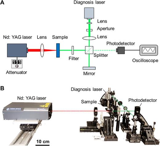 Experimental setup used for laser spallation (LS) adhesion tests. (a) Schematic and (b) photograph of the LS system, consisting of an Nd: YAG laser coupled to an attenuator, a diagnosis laser with a Michelson interferometer, a photodetector coupled to an oscilloscope, and the test samples. The optical paths of the Nd: YAG and diagnosis laser are indicated by red and green dotted lines, respectively. The schematic in (a) is not to scale.