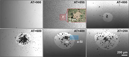 Optical microscope images of the interfacial failure from the Ni/a–Si interface for the test samples after laser spallation tests at varying laser attenuation. The critical attenuation (or laser fluence) at which the a-Si layer delaminates from Ni was determined to be AT = 850 (ψ = 15.87 mJ/mm2), and the high-magnification digital microscopy captured the initiation of a-Si film (green) spallation from the Ni film (white). The blue-shaded region highlights the contrast in appearance between Ni and a-Si surfaces under the optical microscope. See Fig. S1 in the supplementary material for the laser fluences as a function of attenuation factor. See Fig. 2 for the configuration of the test samples.