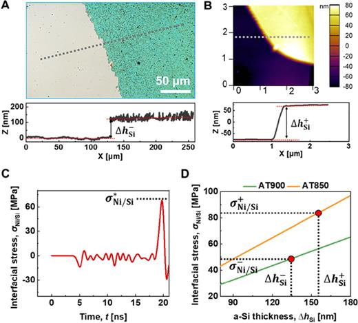 Interfacial adhesion strength analysis. (a) Digital microscopy showing spallation of the a-Si film, corresponding to the blue-shaded region in Fig. 3 at ψ = 46.18 mJ/mm2 (AT = 400). (b) Atomic force microscopy (AFM) of the spallation spot. The bottom panels show the cross-sectional profile, i.e., the height (Z) along the dotted line (X), from which the thickness   (  Δ  h   Si ) of the a-Si film is determined. See Fig. S3 in the supplementary material for a more detailed measurement of the a-Si thickness using an area-averaging scanning measurement. (c) Interfacial stress obtained via FEA using the critical substrate stress at ψ = 15.87 mJ/mm2 (AT = 850) in Fig. 4(c) and a-Si thickness   Δ  h   Si as the input. The Ni/a–Si interfacial adhesion strength was determined to be    σ   Ni /  Si ∗ = 68.0   MPa. (d) Determination of the Ni/a–Si interfacial adhesion strength incorporating the uncertainty of the a-Si thickness   (  Δ  h   Si − < Δ  h   Si < Δ  h   Si + ) and critical laser fluences (ψ = 11.96 and 15.87 mJ/mm2, or AT = 900 and 850). The Ni/a–Si interfacial adhesion strength is bounded within    σ   Ni /  Si − = 45.7   MPa ,  σ   Ni /  Si + = 72.1   MPa, indicated by the red dots). See Fig. S3 in the supplementary material for more details on data analysis.
