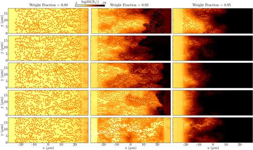 Spatial profiles of the Poynting vector in a film of a thickness of 50 μm containing particles of a diameter of 1 μm. (Left column) a transmitting state (weight fraction a = 0.34), (middle column) critical state (a = 0.60), (right column) reflecting/attenuating state (w = 0.71). Each row is a distinct configuration of particles. Note the striking spatial structure and strongly configuration dependent transmission that arises at criticality.