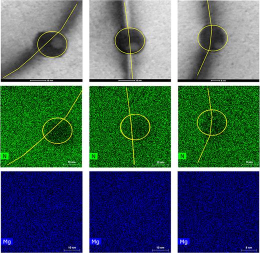 BF STEM and EDX of three representative patches along dislocation loops are shown. No Mg segregation was observed in any of the 10 total patches that were measured. However, a noticeable decrease in N content suggests that defects associated with N vacancies are present along these patches, which are further investigated with HRTEM.