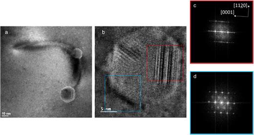 (a) Low magnification TEM image showing two patches on a dislocation loop. (b) HRTEM of the lower right patch from (a). (c) The FFT of the red square in (b) reveals stacking faults within these patches. (d) The FFT of the blue square in (b) shows hexagonal GaN with extra diffraction spots that correlate to atomic rearrangement due to the dislocation loop that was also observed in Fig. 5.