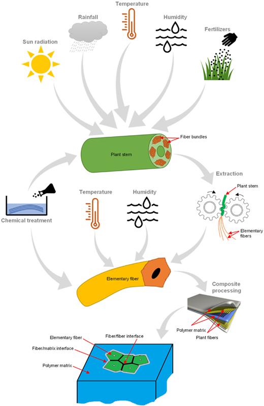 Perspectives on the robustness of the mechanical properties assessment ...