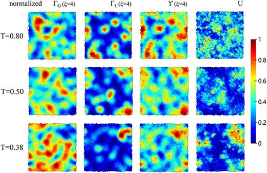 Visualizations of the spatial distributions of Grad-CAM scores: (a)    Γ G and (b)    Γ L, (c) Voronoi volume   Υ, and (d) dynamic propensity   U. The temperature is   T = 0.8,   0.5, and   0.38 from top to bottom. The values of    Γ L,    Γ G, and   Υ are coarse-grained with the CG length   ξ = 4. All the quantities are normalized within the range of   0–  1.