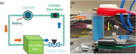 (a) Schematic layout of the battery immersion cooling experimental setup. Schematic not to scale. (b) Photograph of the one-cell battery immersion cooling setup showing the 3D-printed chamber and the blue LiB cell inserted inside.