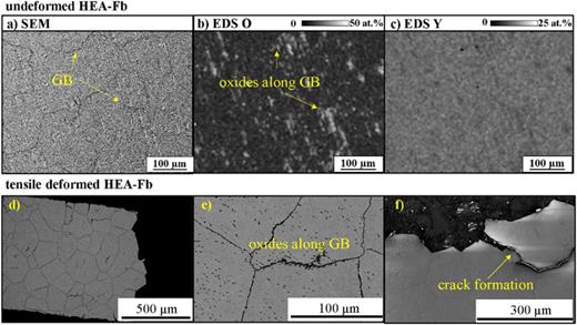 SEM (SE) and EDS analysis of HEA-Fb. (a) SEM image of undeformed HEA-Fb in 1540EsB Cross Beam from Zeiss SEM, acquired in Bayreuth; (b) and (c) corresponding EDS mappings of O and Y. The grain boundaries are oxidized. (d) SEM image of tensile deformed HEA-Fb with Apreo FEG SEM acquired at CEMAS in Columbus, OH. (e) The oxidation follows the grain boundaries. (f) Detail of the crack formation at the fractured surface that follows the grain boundaries.