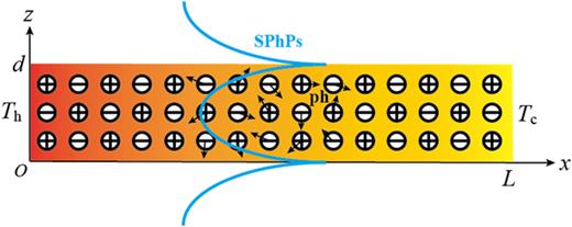 Schematic of heat transport along a polar dielectric nanofilm via lattice vibration (i.e., phonons, ph) and surface phonon polaritons (SPhPs). The length and thickness of the thin film are L and d, respectively, whereas its width is infinite. The temperatures of the hot side and cold side are Th and Tc, respectively.