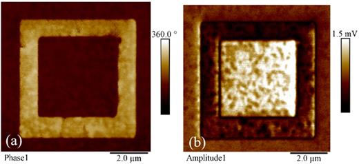 (a) PFM phase images and (b) PFM amplitude images (8 × 8 μm2) for the 1:24 Al:HZO films annealed at 500 °C.