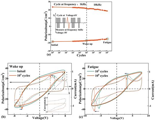 (a) The endurance characteristics of the 1:24 CF Al:HZO MFS capacitors with the cycling process inset. The P–V loops of the 1:24 CF samples annealed at 500 °C (b) before and after the wake-up process and (c) before and after the fatigue process.